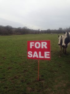 For Sale sign. A Plot by Goldin & Senneby